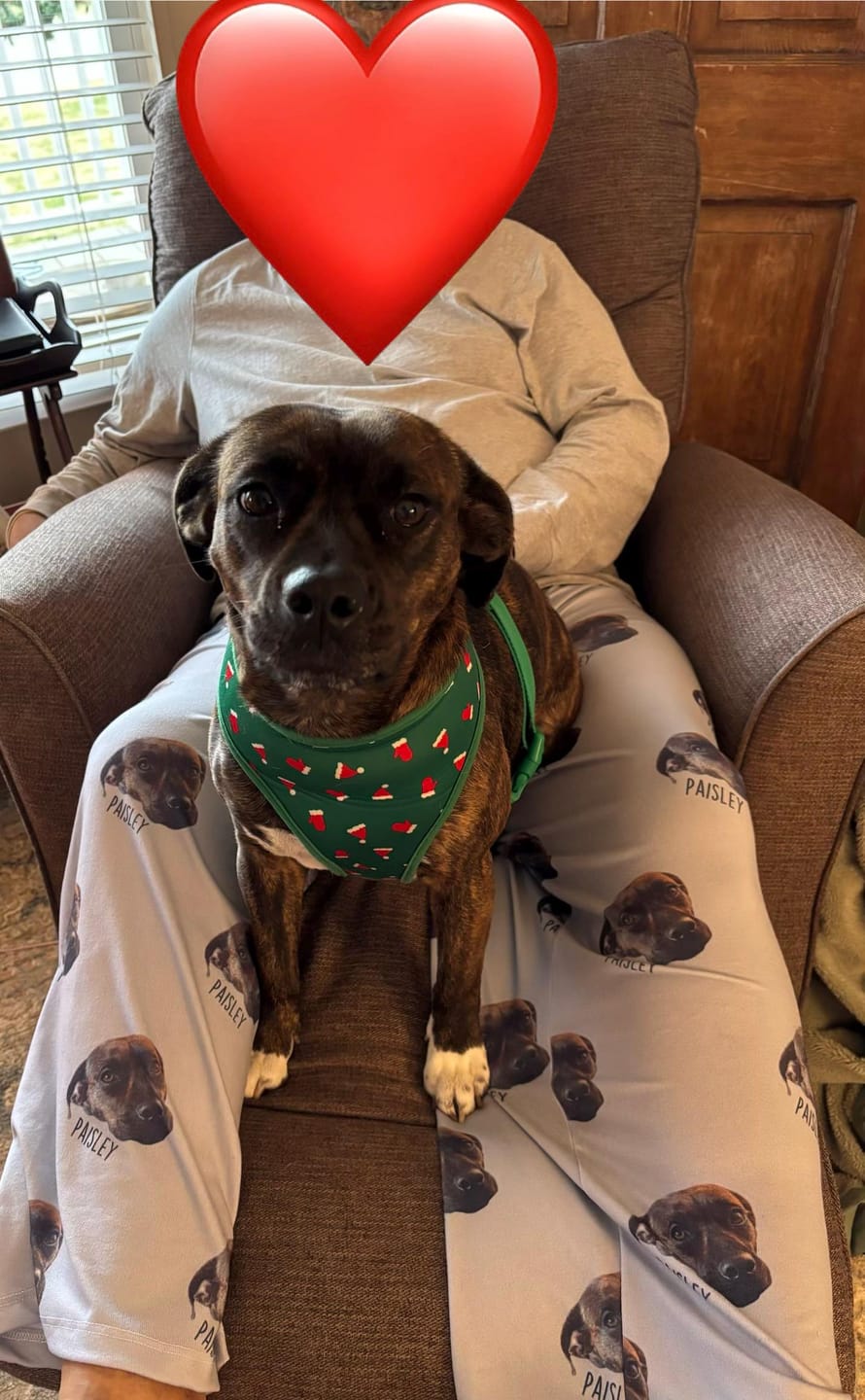 Customer photo review of Personalized Pet Photo Pajama, Custom Dog & Cat Portrait PJs, Family Matching Loungewear