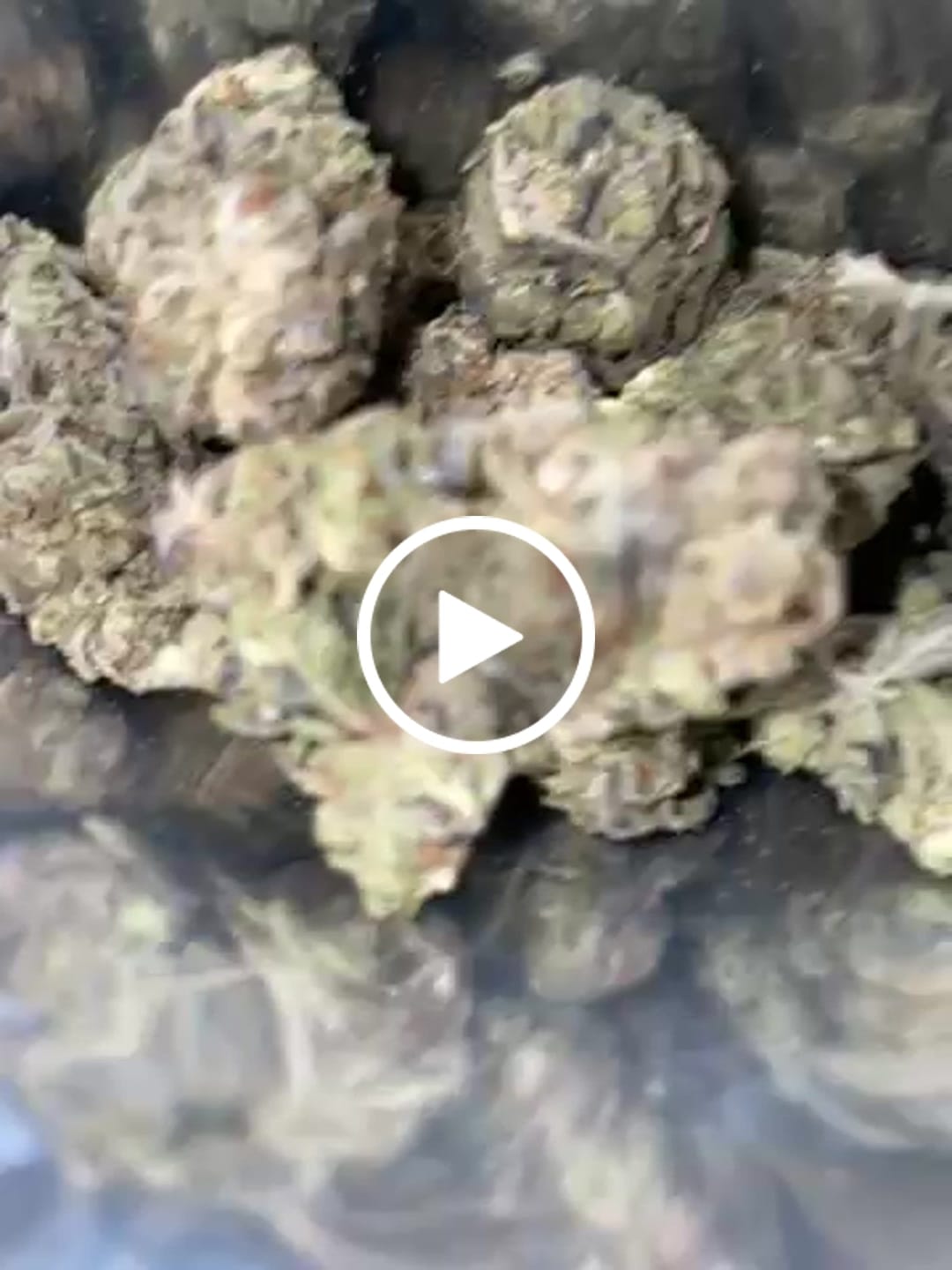 Customer video review of Hyper Za THCA Flower