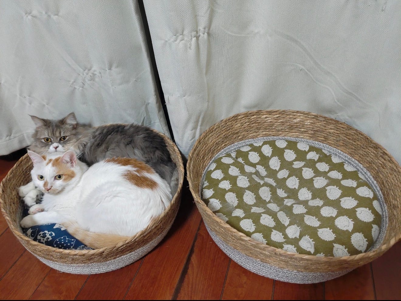 Customer photo review of Rattan Cat Bed