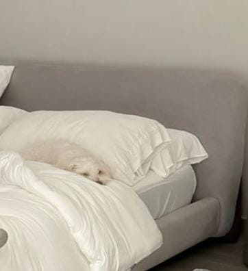 Customer photo review of MarshMellow Comforter