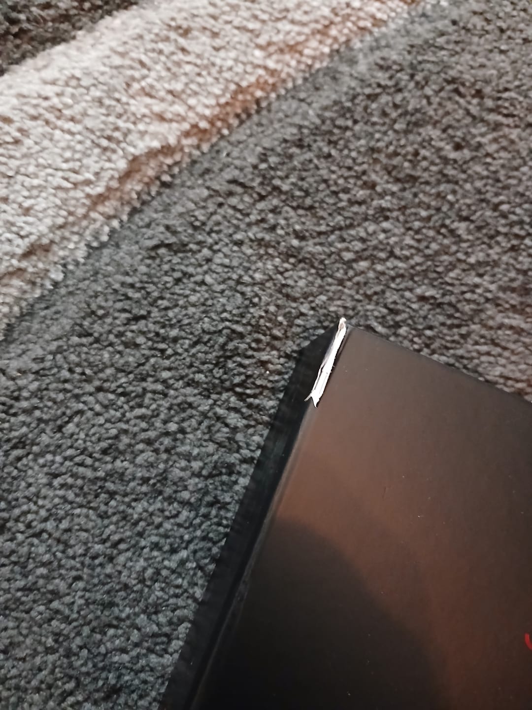 Customer photo review of BLOOD ONI - 9-Pocket Trading Card Binder