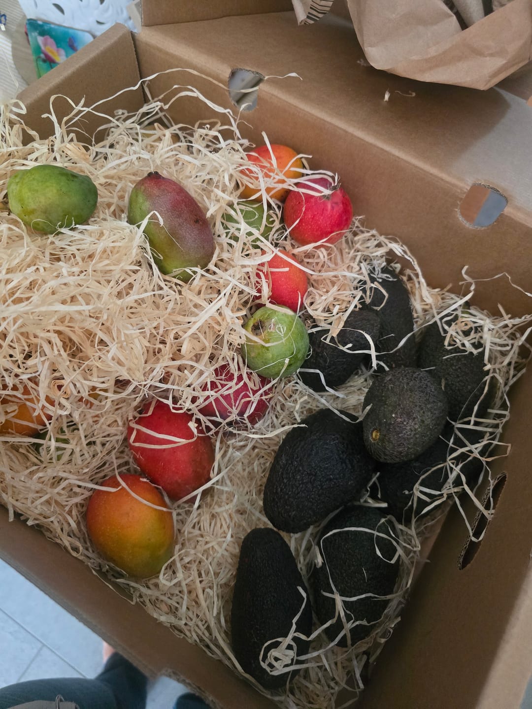 Customer photo review of Avocado Hass 15 Monate baumgereift von Julian