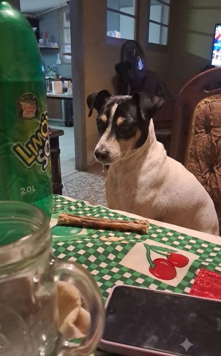 Customer photo review of Bully Stick