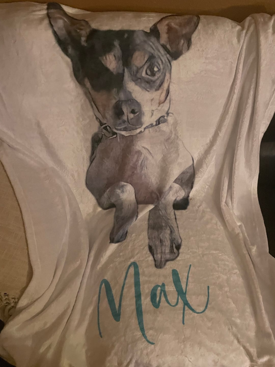 Customer photo review of Custom Pet Portrait Blanket: Personalized Dog or Cat Photo Blanket