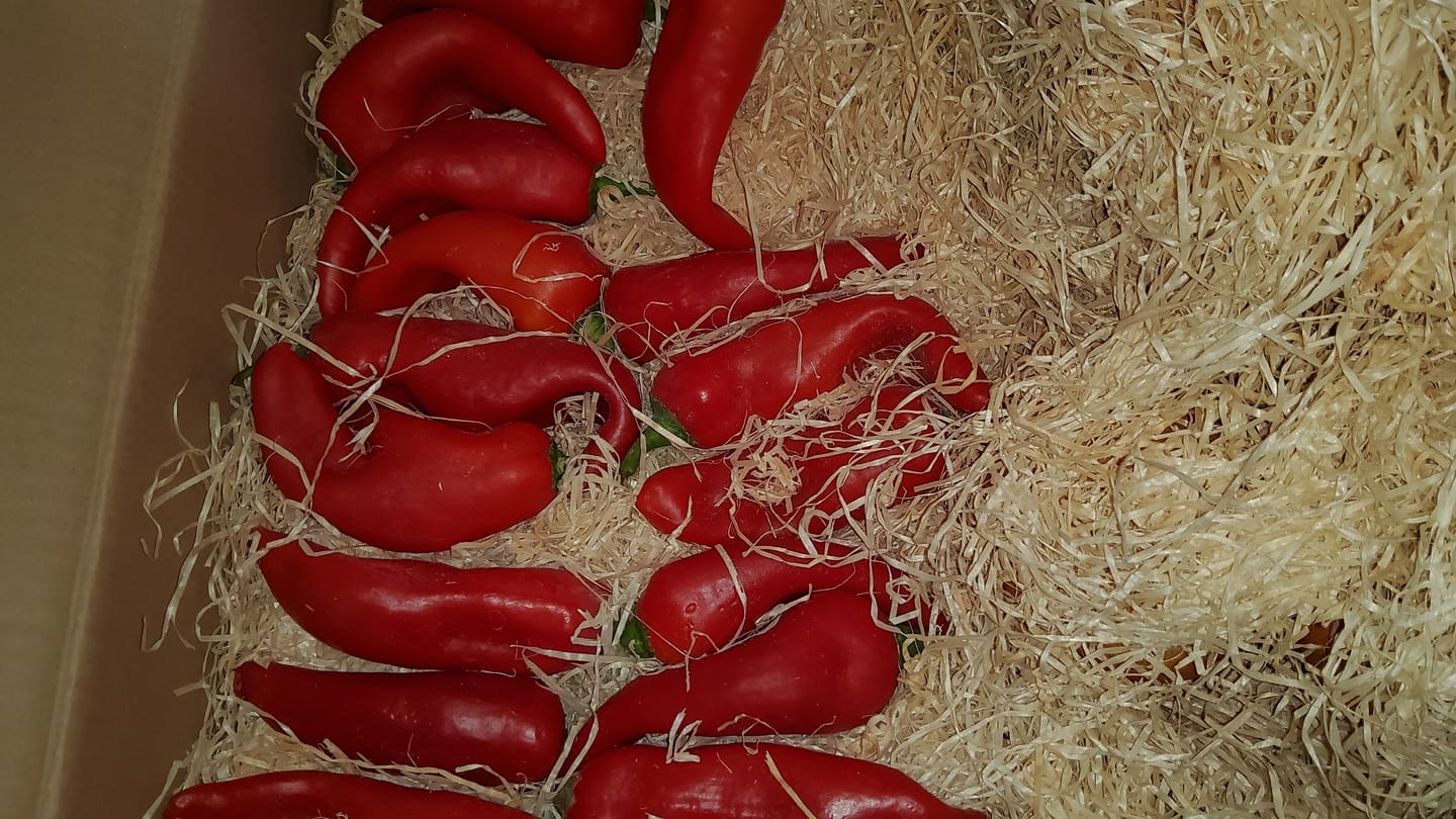 Customer photo review of Paprika spitz Bio