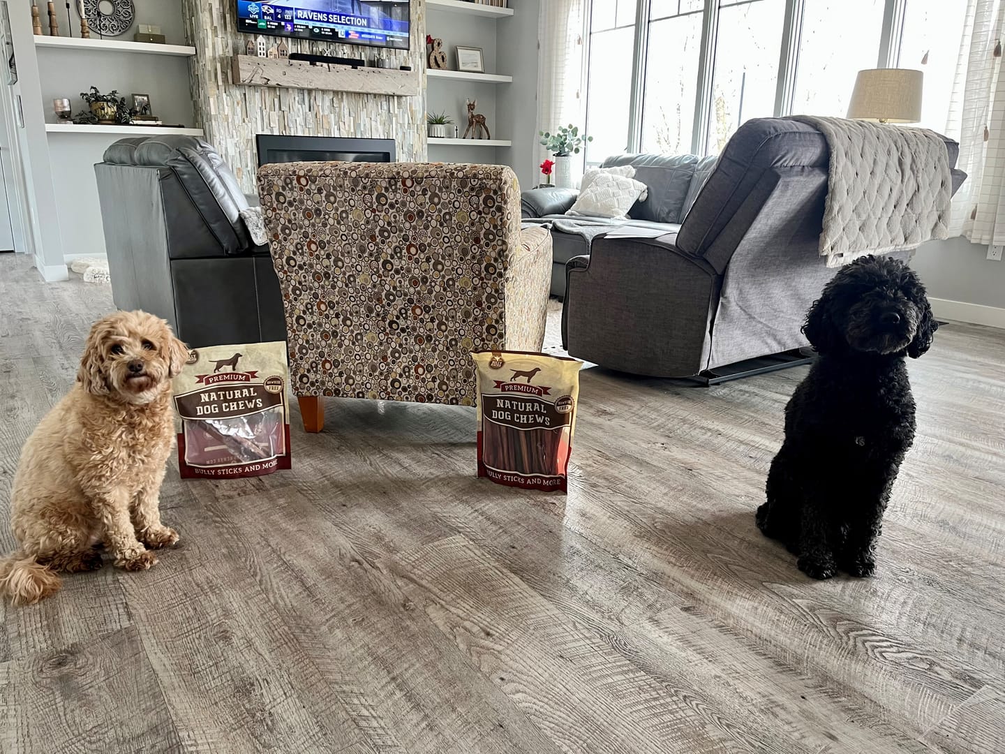 Customer photo review of 12 Inch Standard Bully Stick