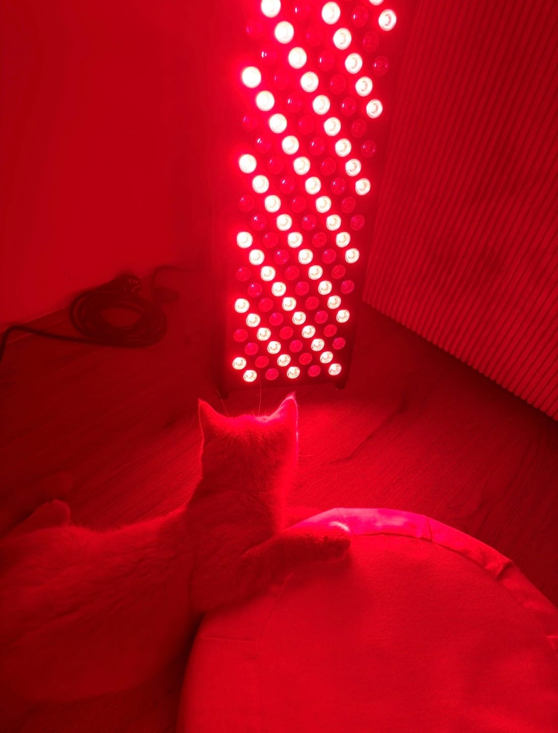Customer photo review of Koanna® Luma1000™ – Powerful, Mid-Size Red Light Therapy Panel