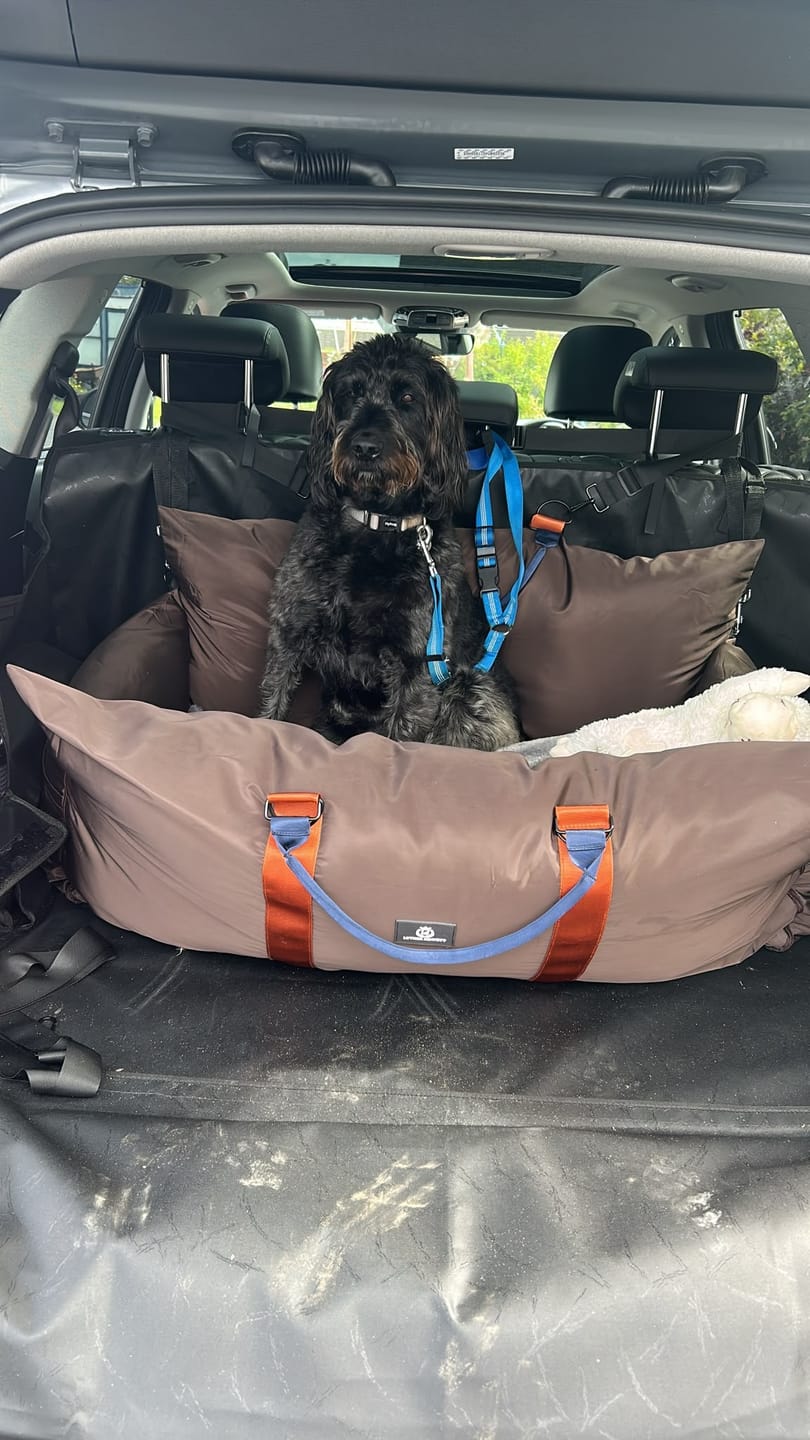 Customer photo review of Travel Dog Pod XL - Now With Isofix
