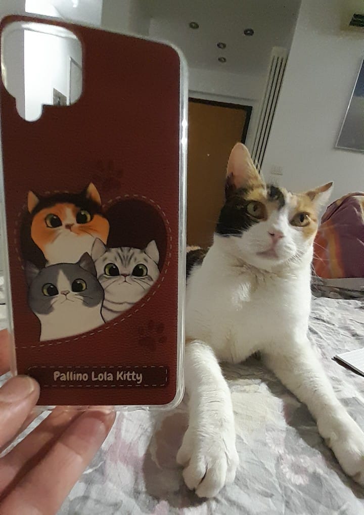 Customer photo review of Gatto con cuore aspetto similpelle - Custodia per il telefono personalizzata