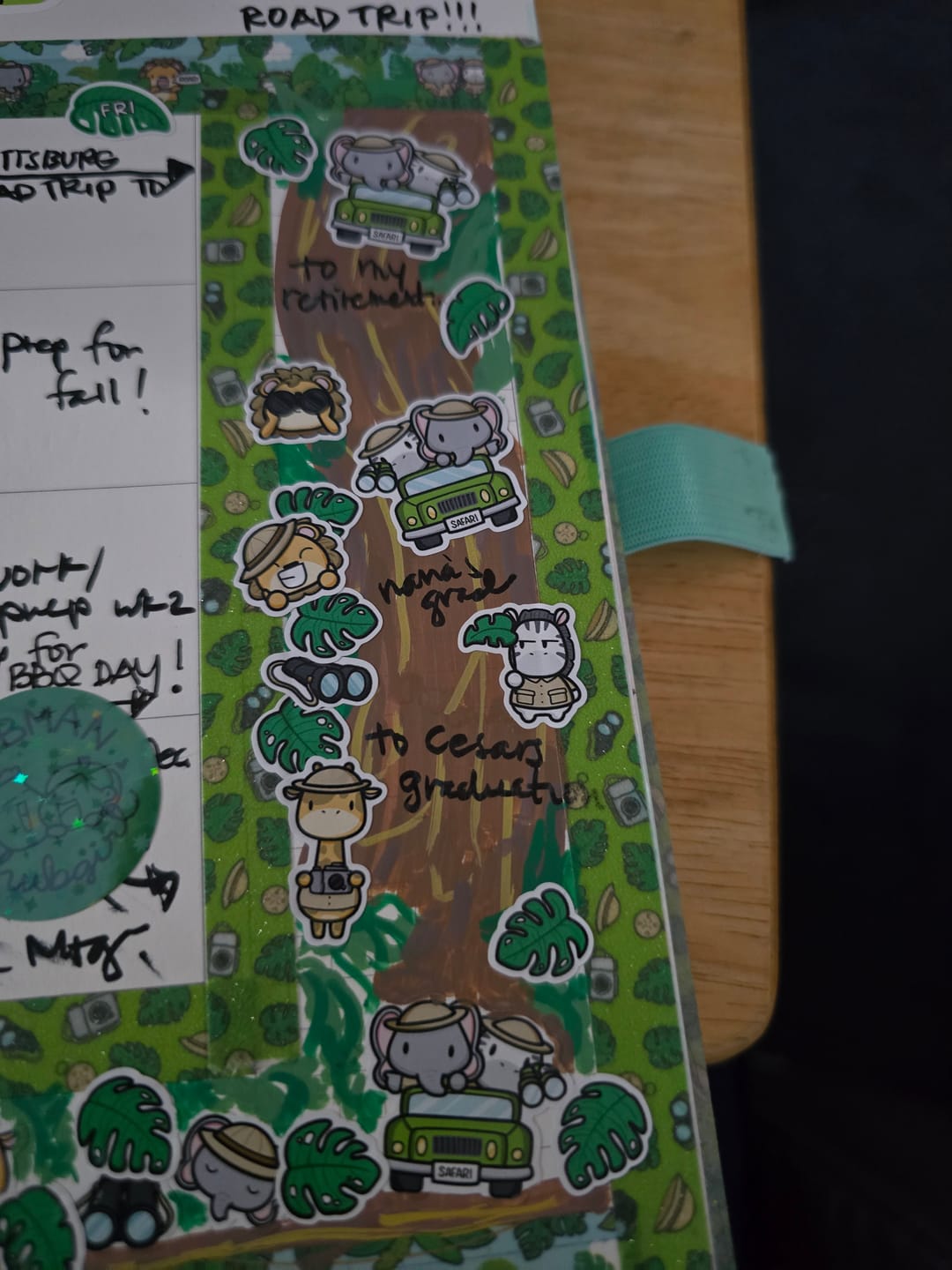 Customer photo review of Safari Adventure Washi Tapes (Set of 2)