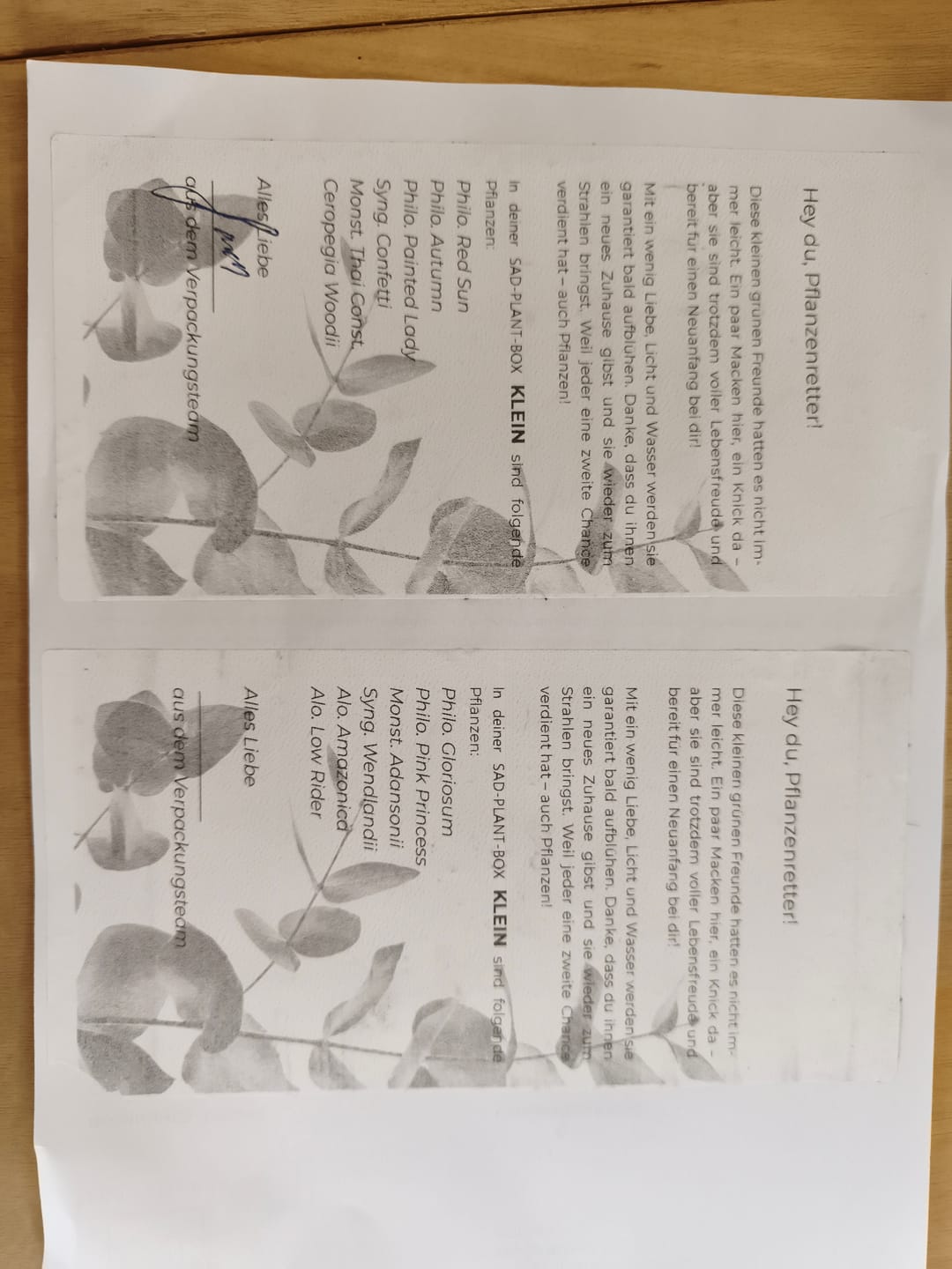 Customer photo review of SAD-PLANT-SET