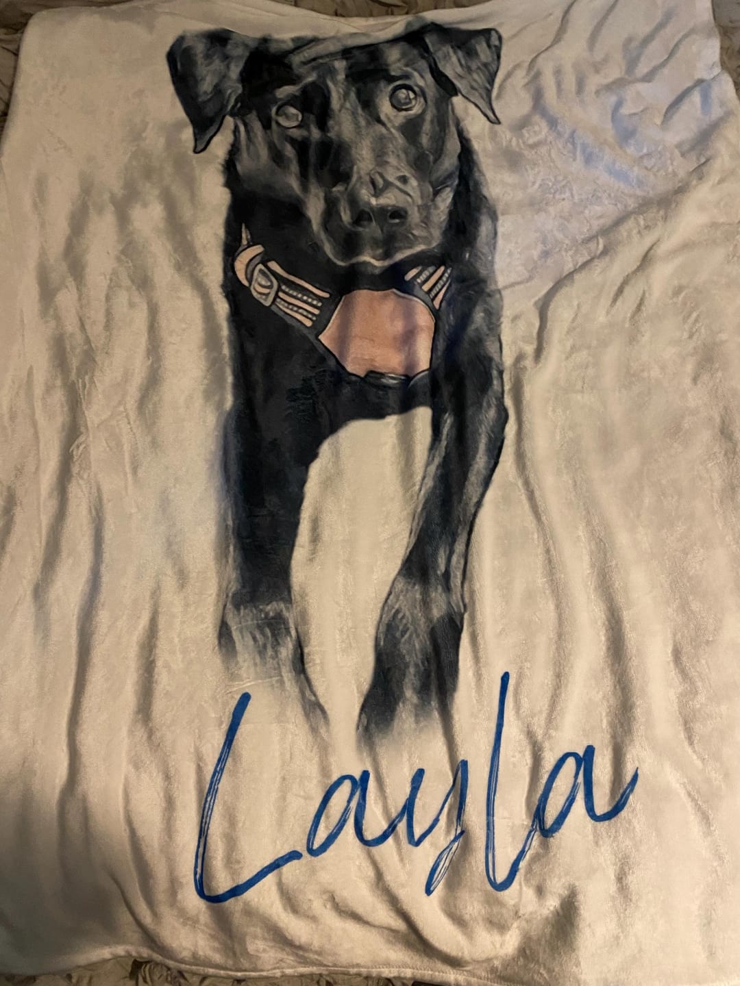 Customer photo review of Custom Pet Portrait Blanket: Personalized Dog or Cat Photo Blanket