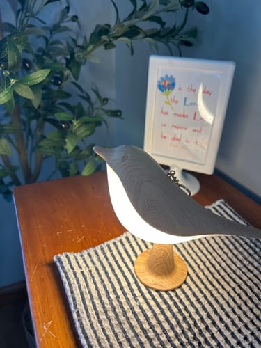 Customer's Glow Bird lamp, a gray, bird-shaped light on a wooden base sitting on a striped table mat.
