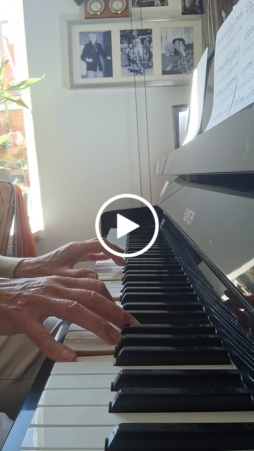Customer video review of Paul de Leeuw - De Steen