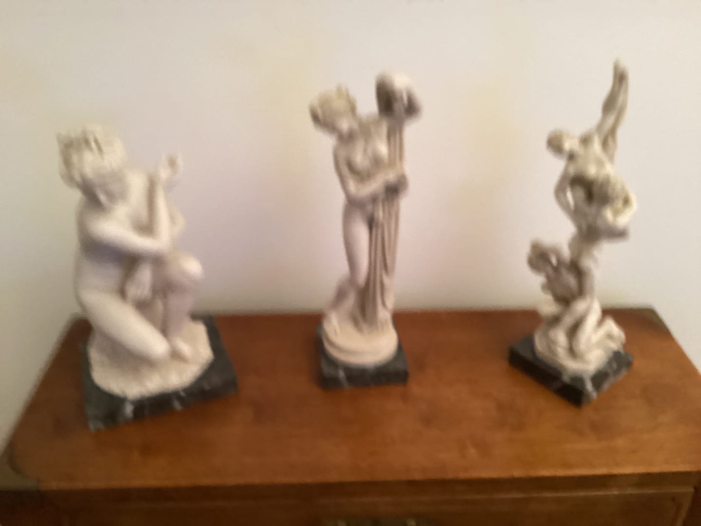 Customer photo review of Statua in Marmo di Venere Callipigia