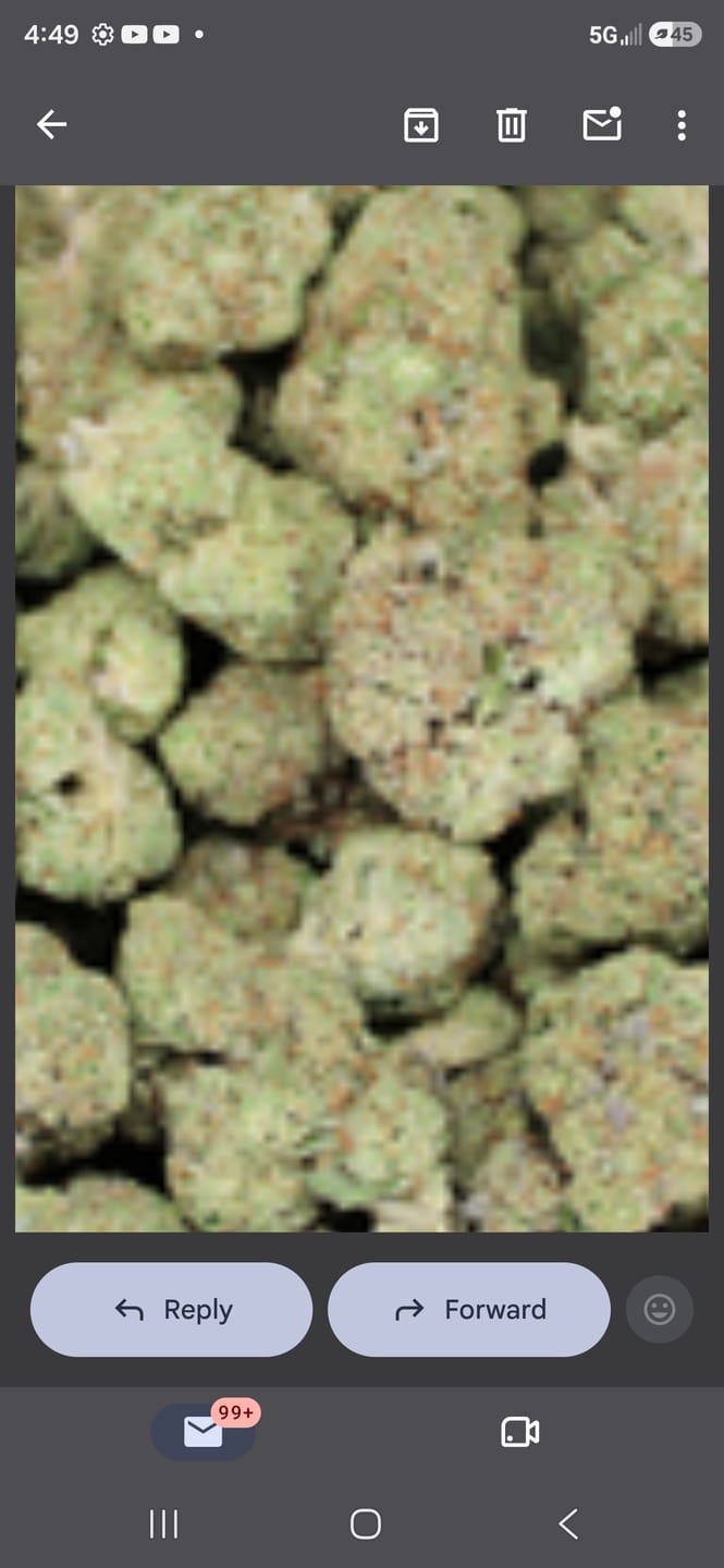 Customer photo review of Cheap Indoor THCA Flower Ounce