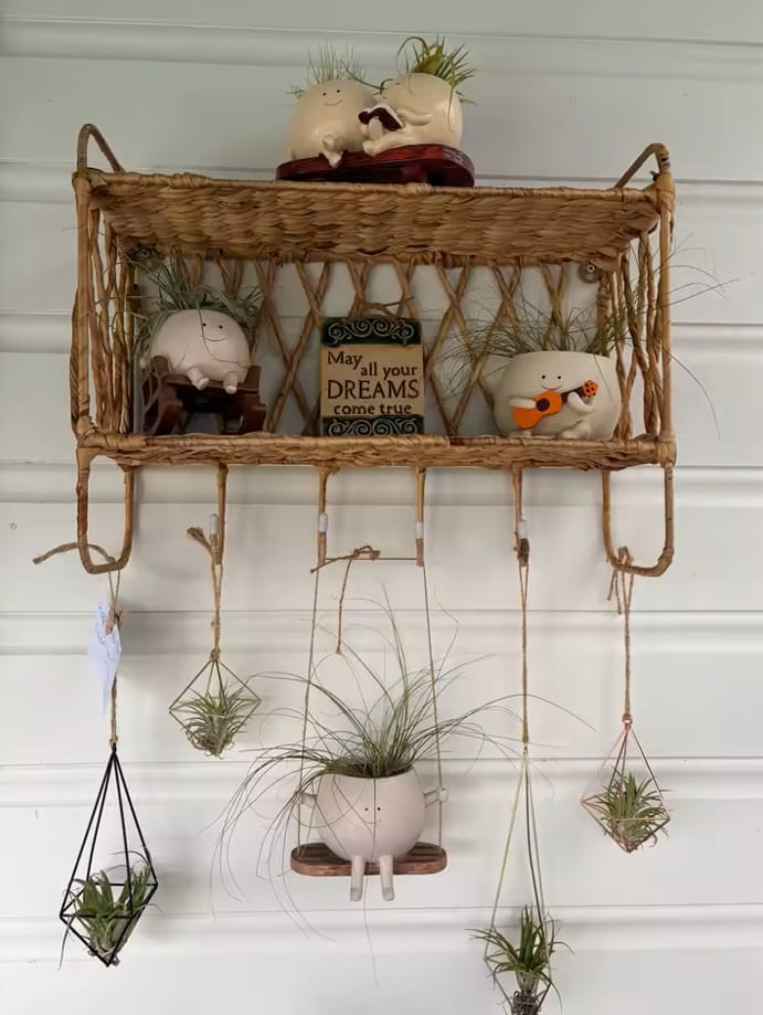 Customer photo review of Infinity™ Plant Pot