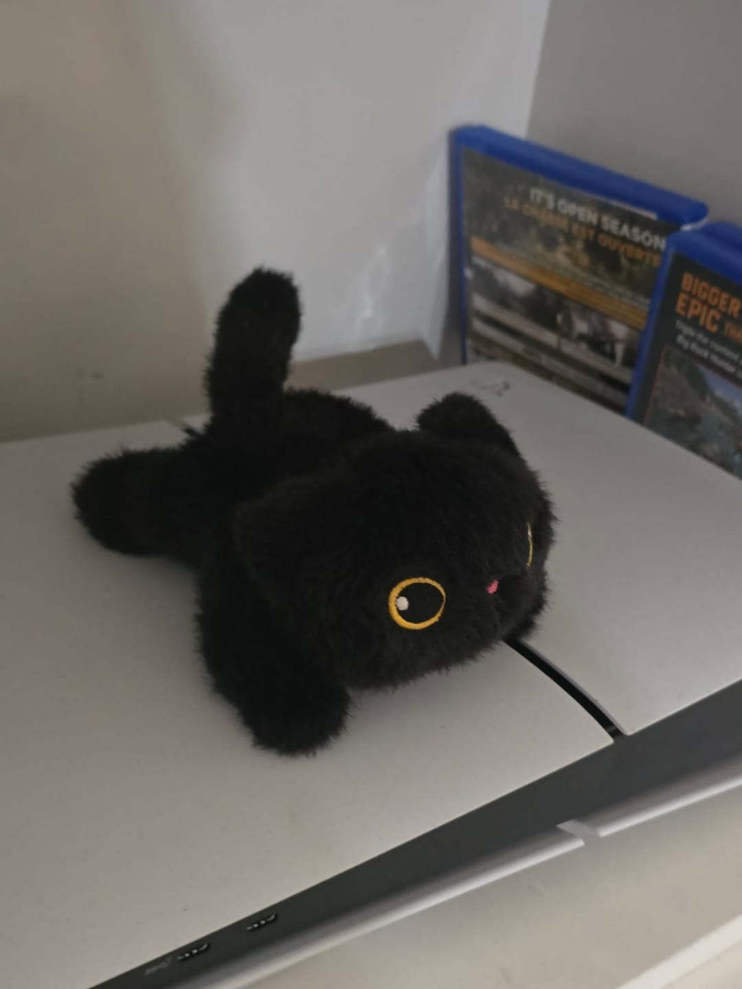 Customer photo review of Peluche Magnético