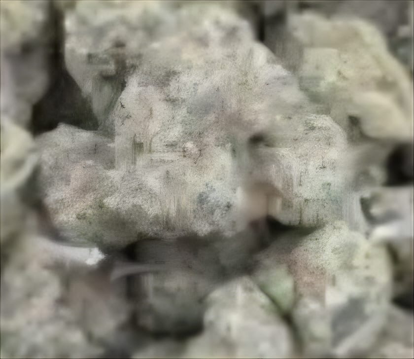 Customer photo review of Double Dream Mediums - Bulk Mediums - Sativa