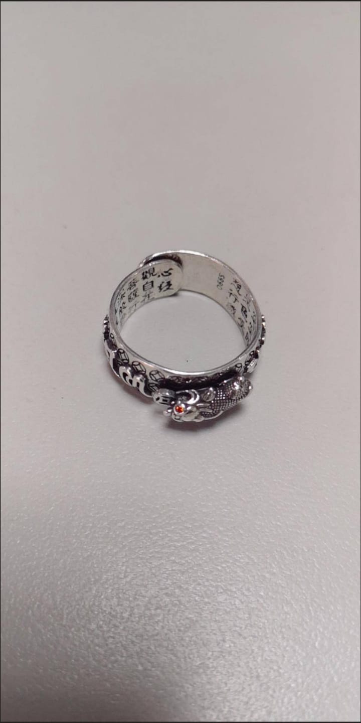 Customer photo review of FREE Today: FengShui Pixiu Mantra Ring for Wealth Success & Protection