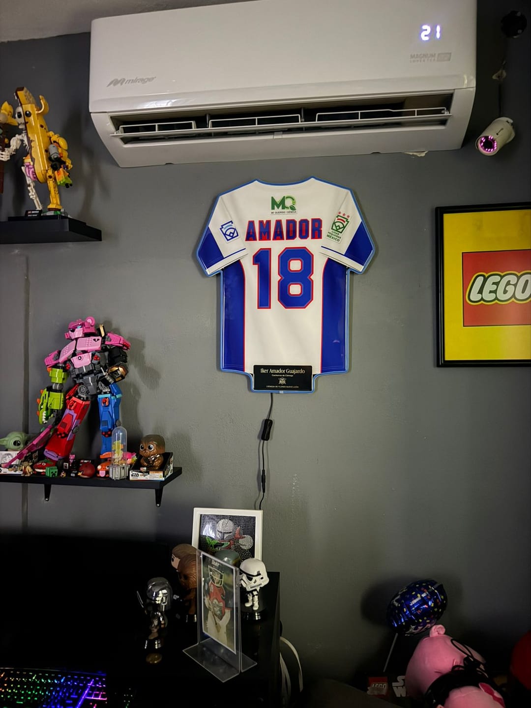 Customer photo review of Cuadro Memorablxs