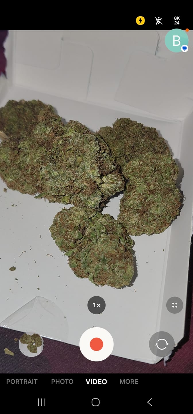 Customer photo review of Candy Gas THCA Flower