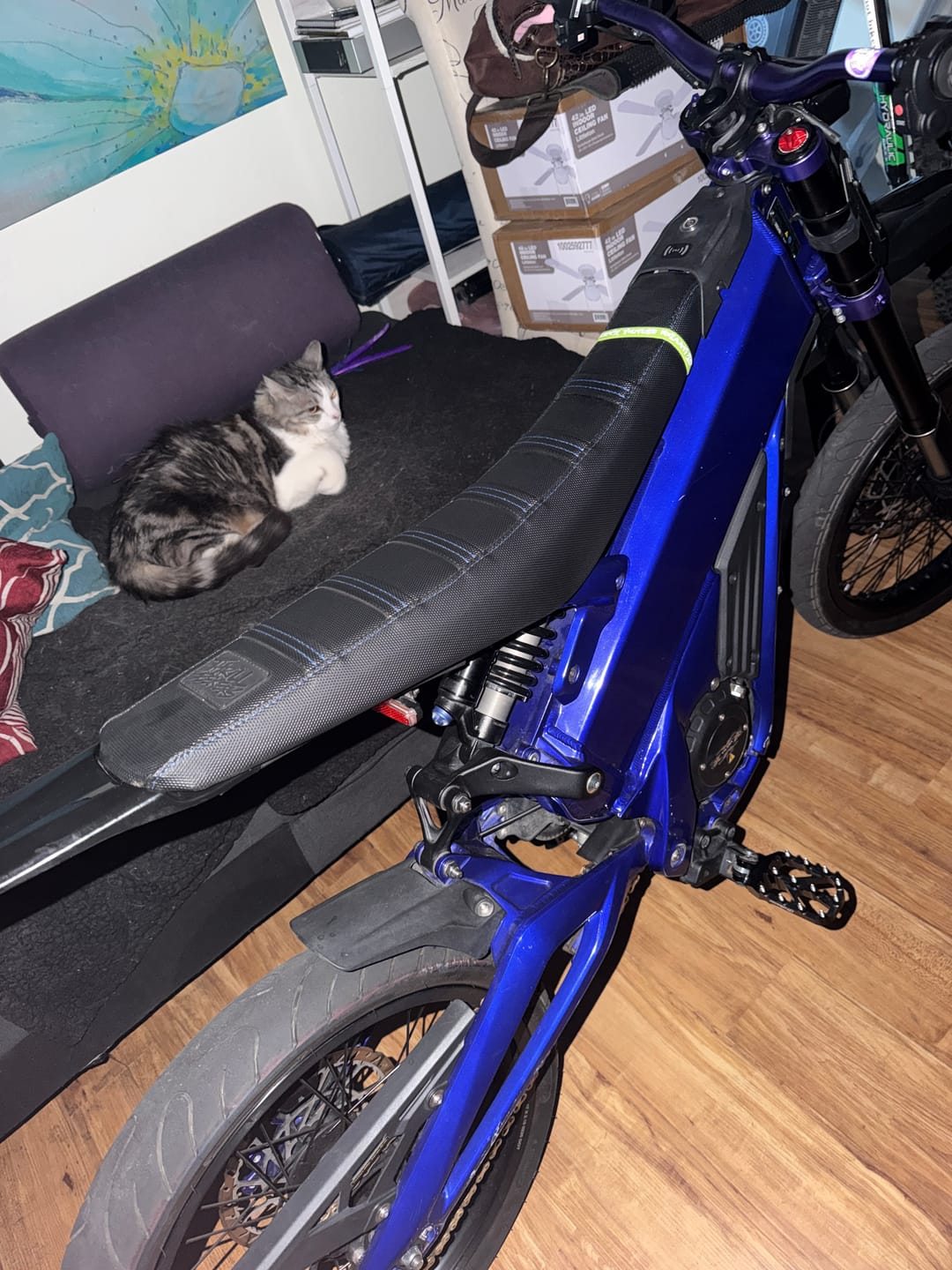 Customer photo review of Custom Seat Cover: Talaria XXX