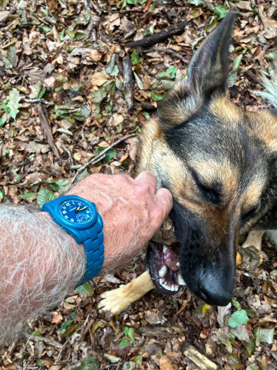 Customer photo review of VOYAGER S72 – 72-Hour Power Reserve Titanium Automatic Field Watch, 100M Water Resistant | Cerulean Blue/Bracelet