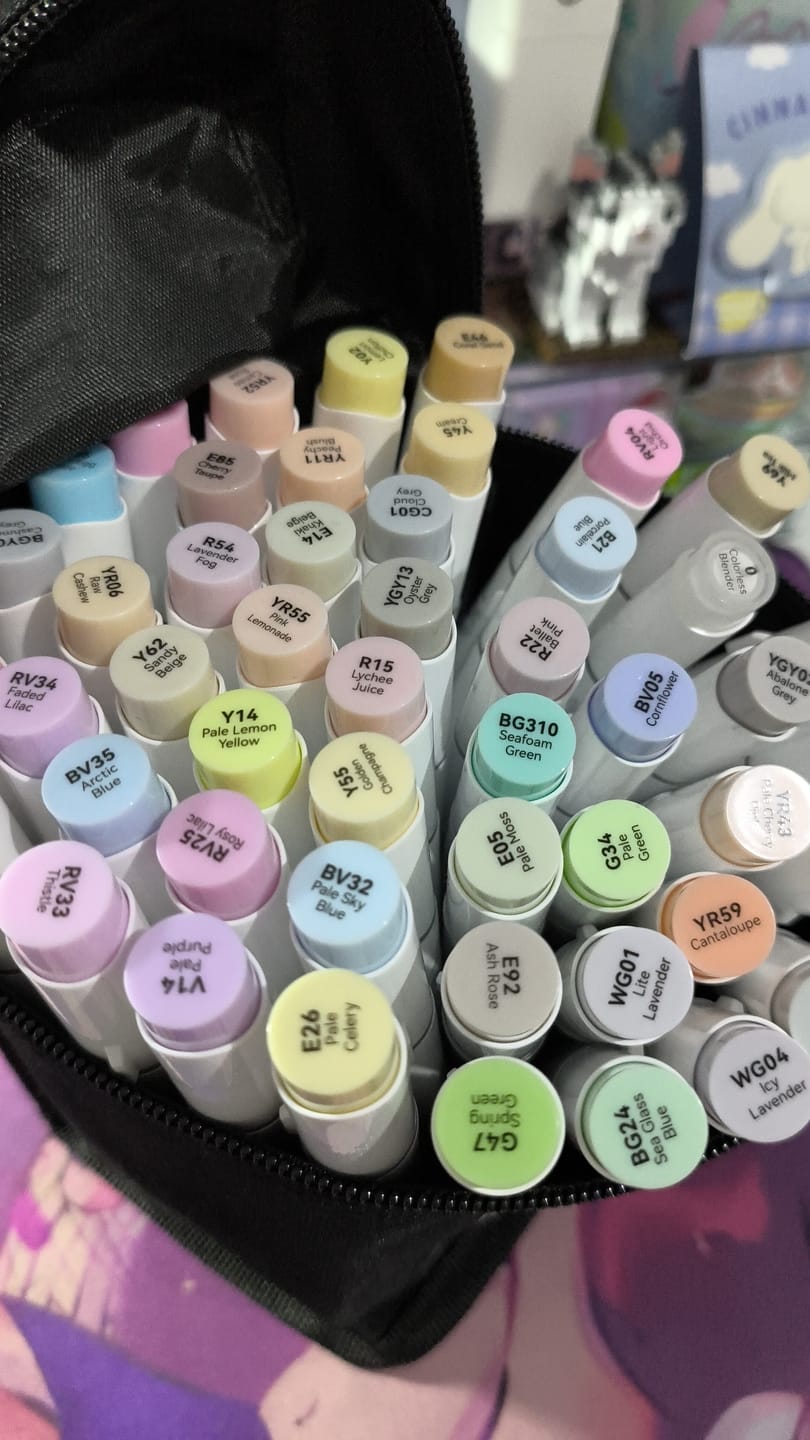 Customer photo review of Ohuhu Honolulu 48 Pastel Colors Dual Tips Alcohol Art Markers-Sweetness (New Color Codes)