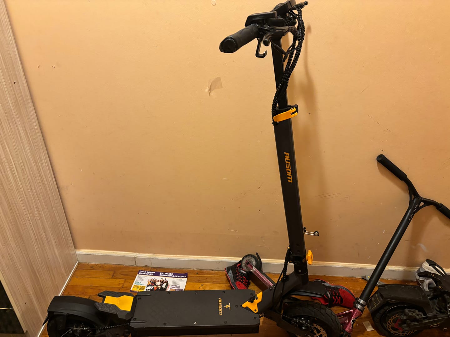 Customer photo review of Ausom L1 Electric Scooter