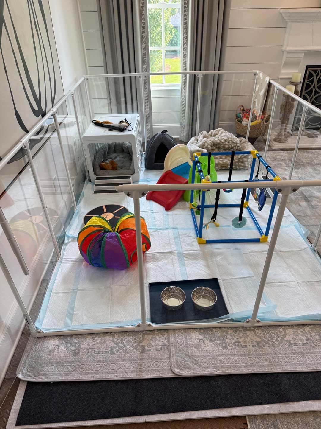 Customer photo review of 36" Tall Large Lucidium Pet Pen