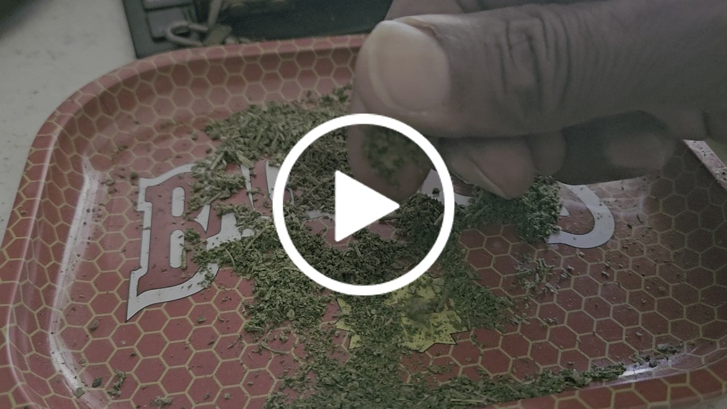 Customer video review of Girl Scout Cookie - $39.99 (Limited Promotion)
