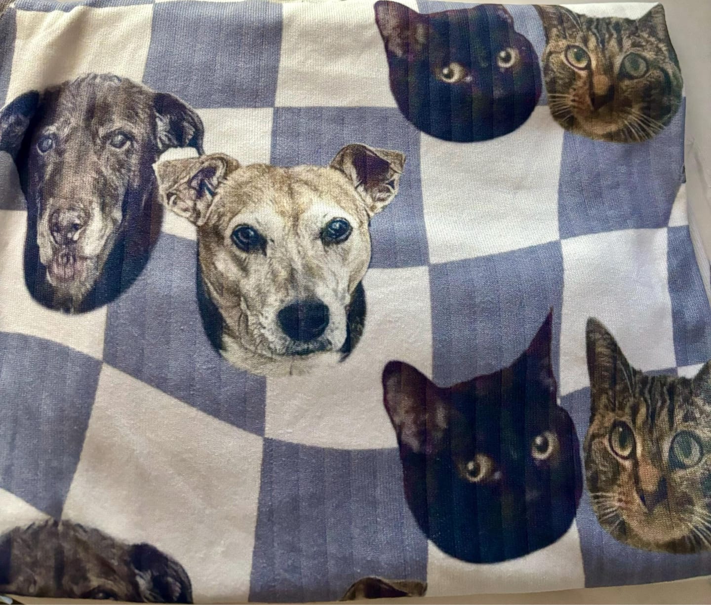 Customer photo review of Custom Pet/Person Portrait Pajama Shorts: Personalized Dog Photo Pants