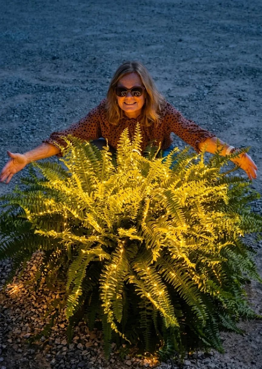 Customer photo review of 💛Glowing Boston Ferns with Lights – 🌿 Zero Watering, Zero Maintenance