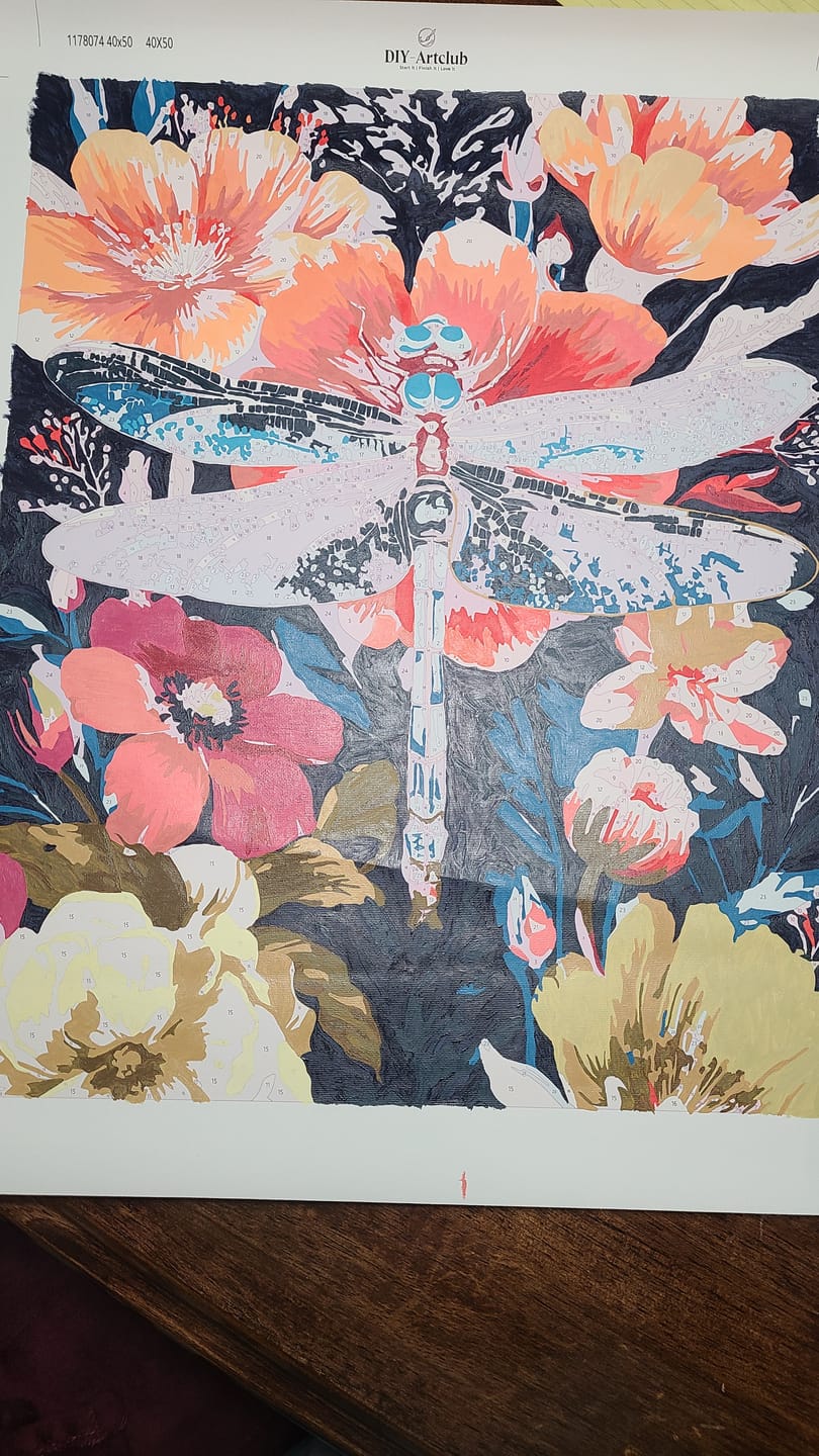Customer photo review of Precious Dragonfly | Paint by Number