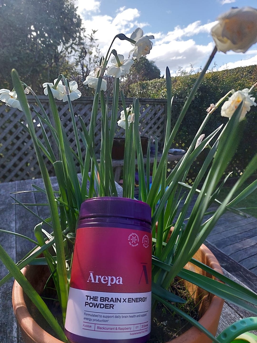 Customer photo review of The Brain x Energy Powder⁺
