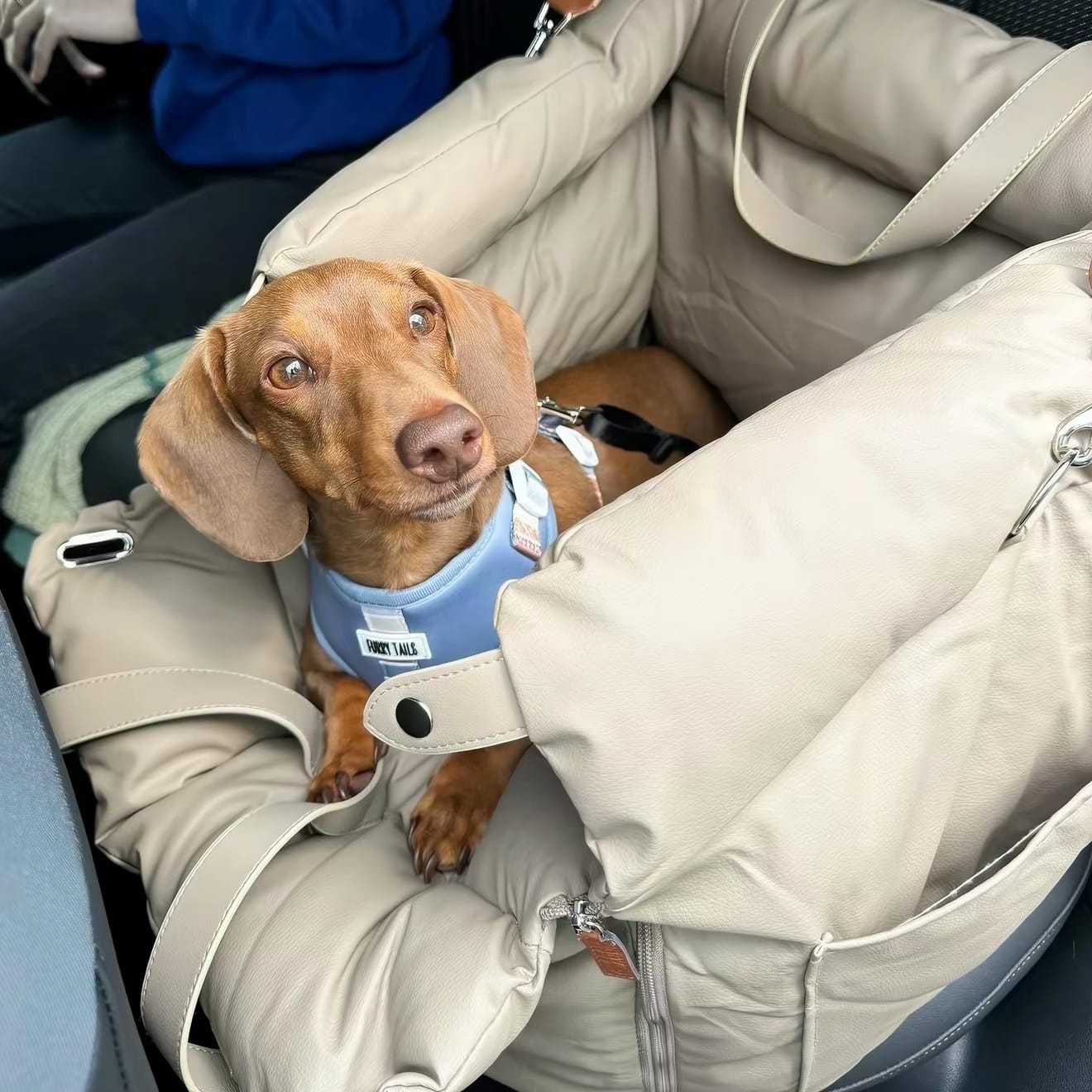 Customer photo review of Deluxe Faux Leather Dog Car Seat
