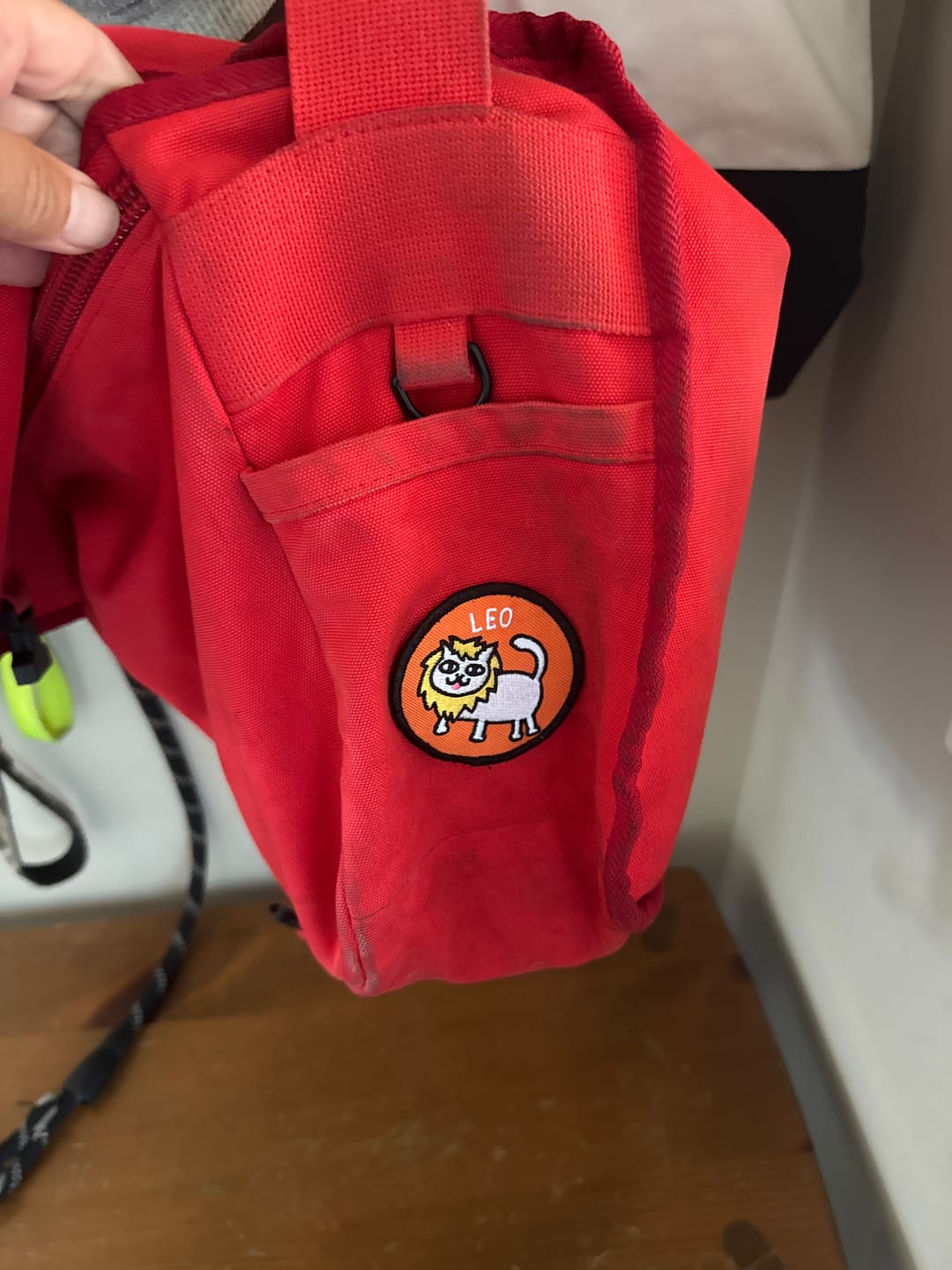 Customer photo review of Leo Catstrology Patch