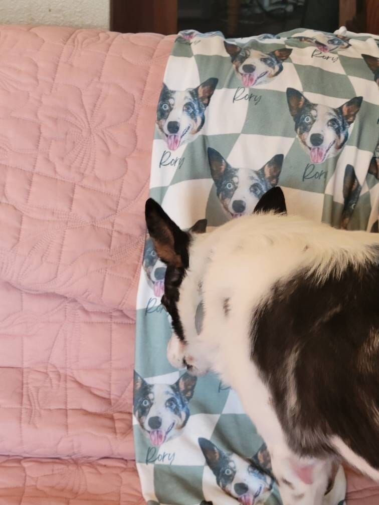 Customer photo review of Custom Pet/Person Portrait Pajama Shorts: Personalized Dog Photo Pants