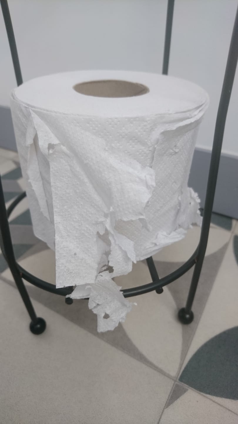 Customer photo review of Papier Toilette DOUBLE Épaisseur - 350 Feuilles / Rouleau