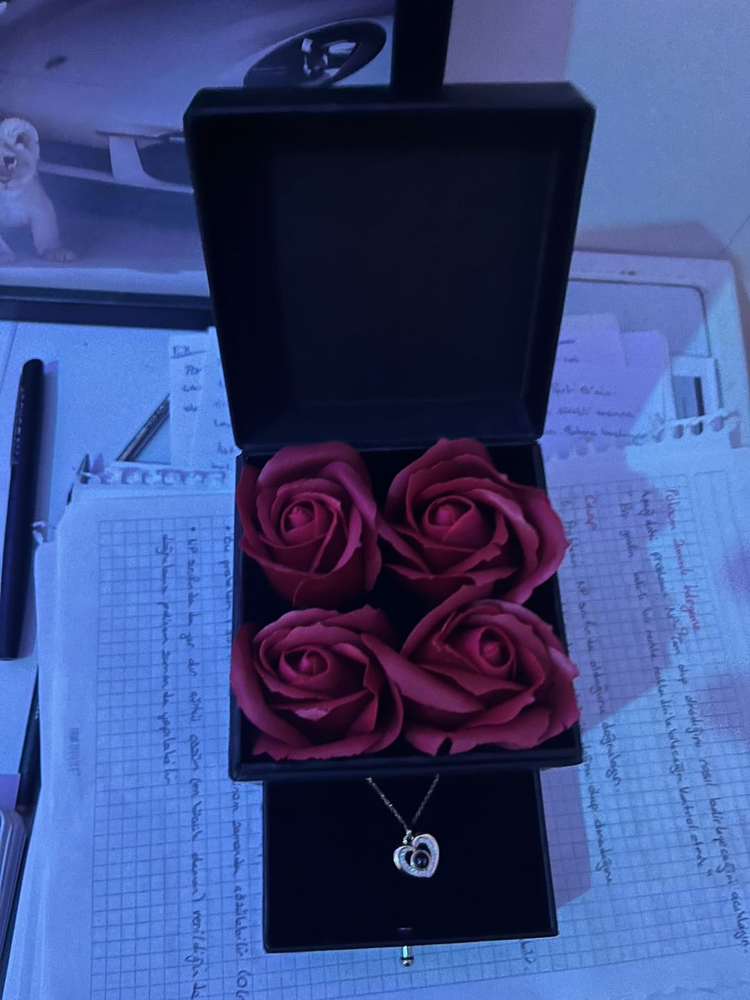 Customer photo review of Jormaria™ 14 Ayar Altın Kaplama 100 Dilde Seni Seviyorum Kolyesi