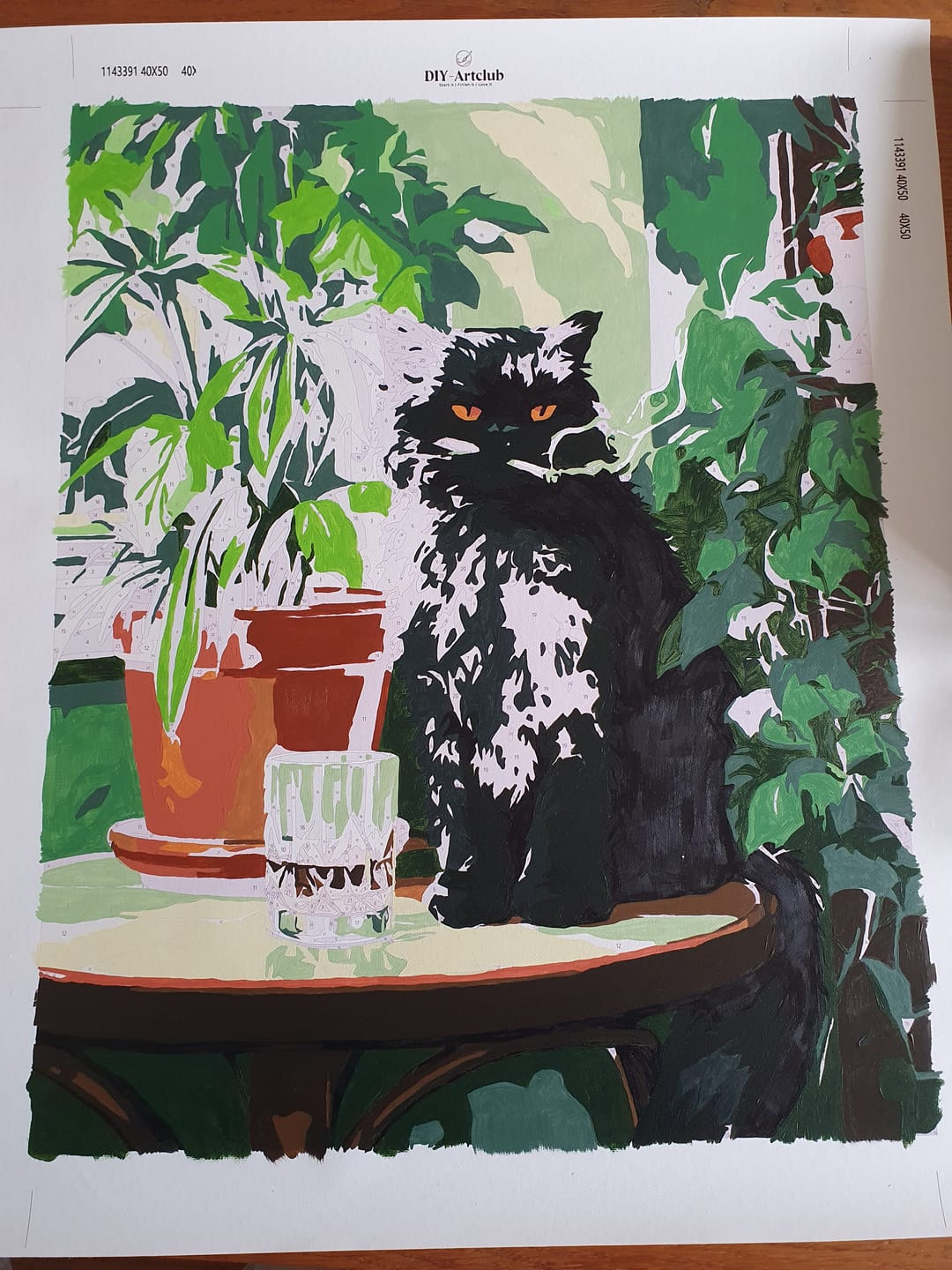 Customer photo review of Grumpy cat | Paint by Number