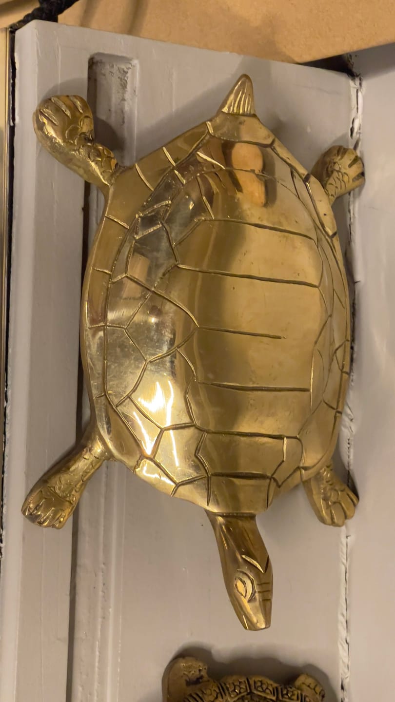 Customer photo review of Pure Brass Tortoise Idol Vastu Remedy for Stability, Protection and Positive Energy | 22 x 12 cm | 1.05kg