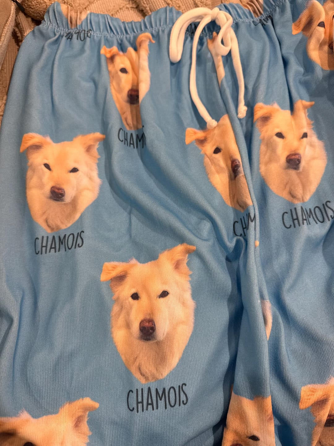 Customer photo review of Custom Pet Portrait Pajama  – Personalized Photo PJs, Matching Family Sleepwear