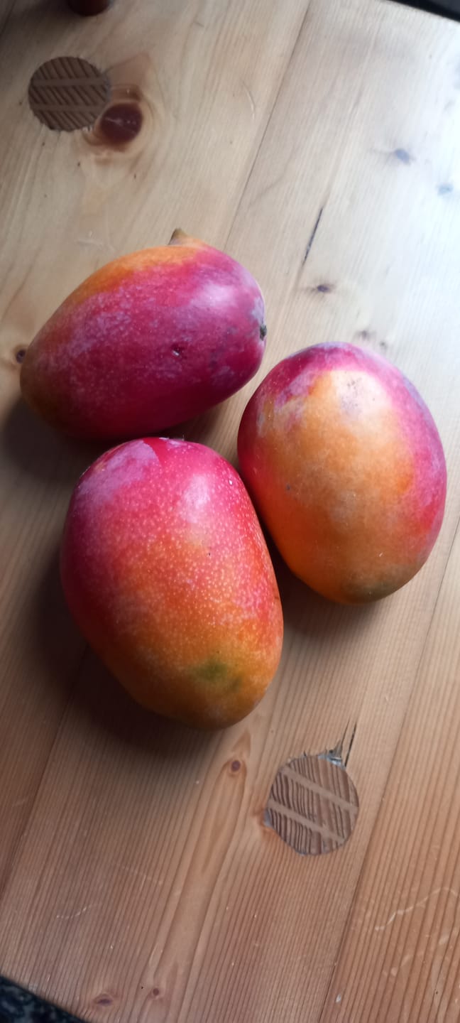 Customer photo review of Mango Irwin Edelsorte Bio von Julian