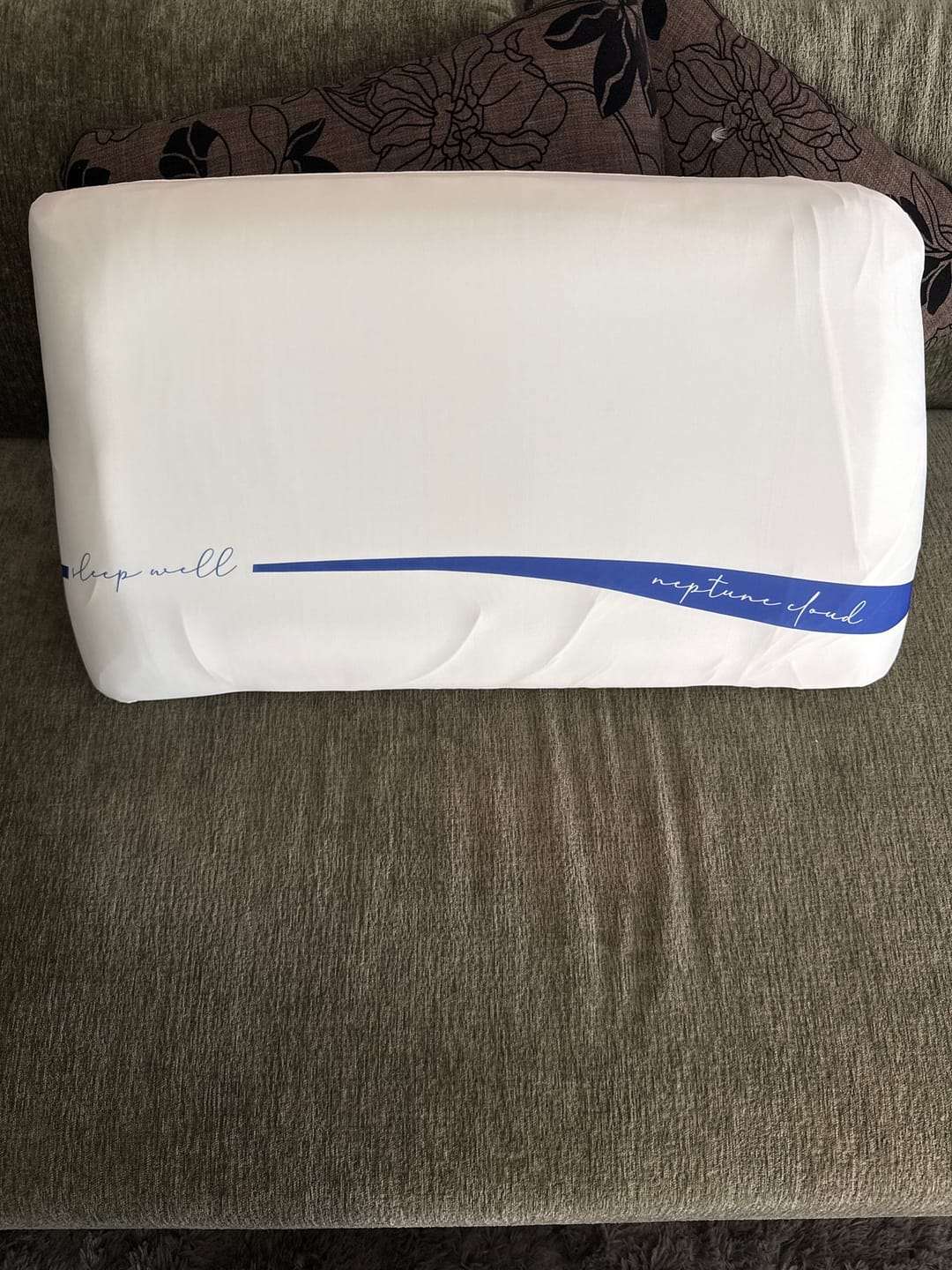 Customer photo review of Cloud Pillow