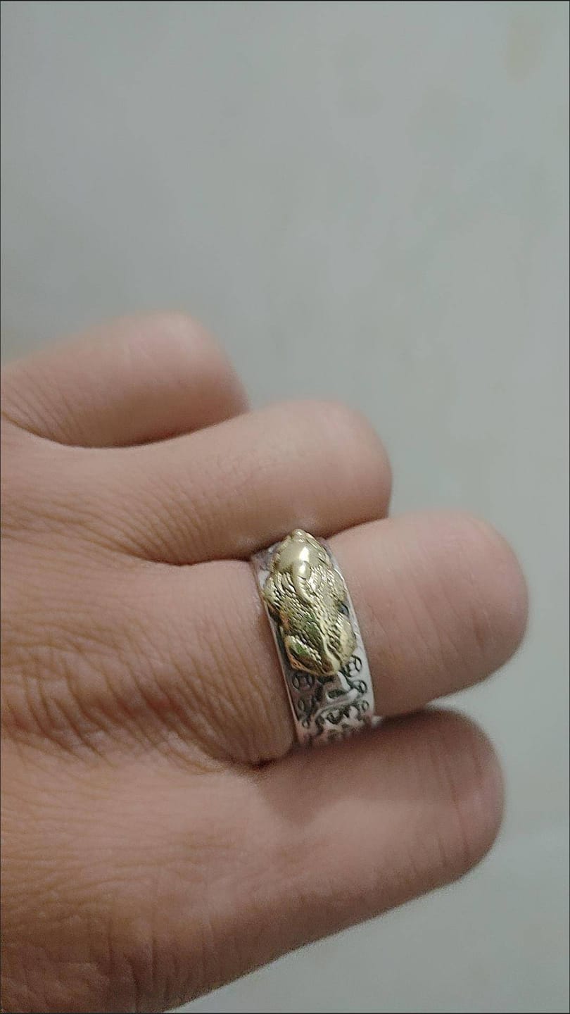 Customer photo review of FREE Today: FengShui Pixiu Mantra Ring for Wealth Success & Protection