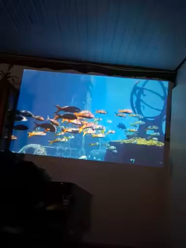 Customer photo review of Projecteur cinéma maison Ultra HD