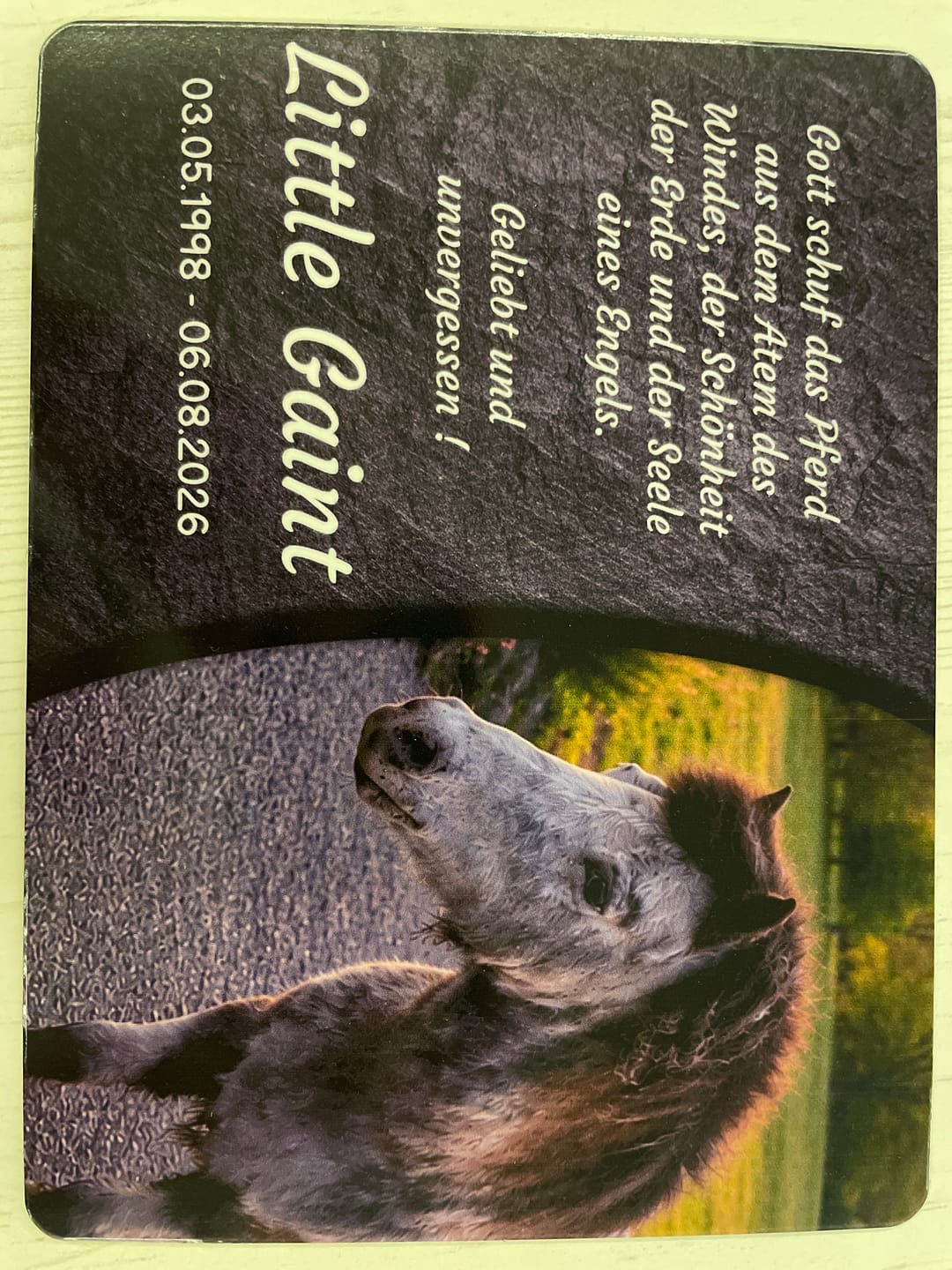 Customer photo review of Pferde Gedenktafel mit Foto & Spruch (UV- & Wetterfest)
