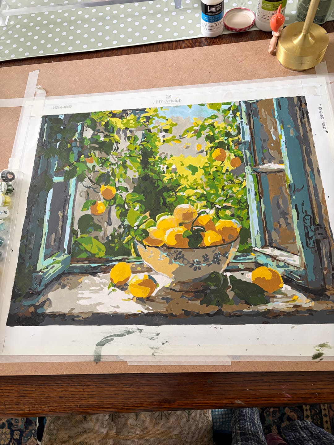Customer photo review of Lemon Bowl at the Window | Paint by Number